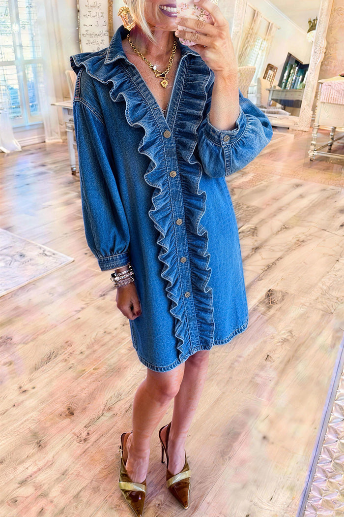 Denim Ruffle Trim Button Front Dress