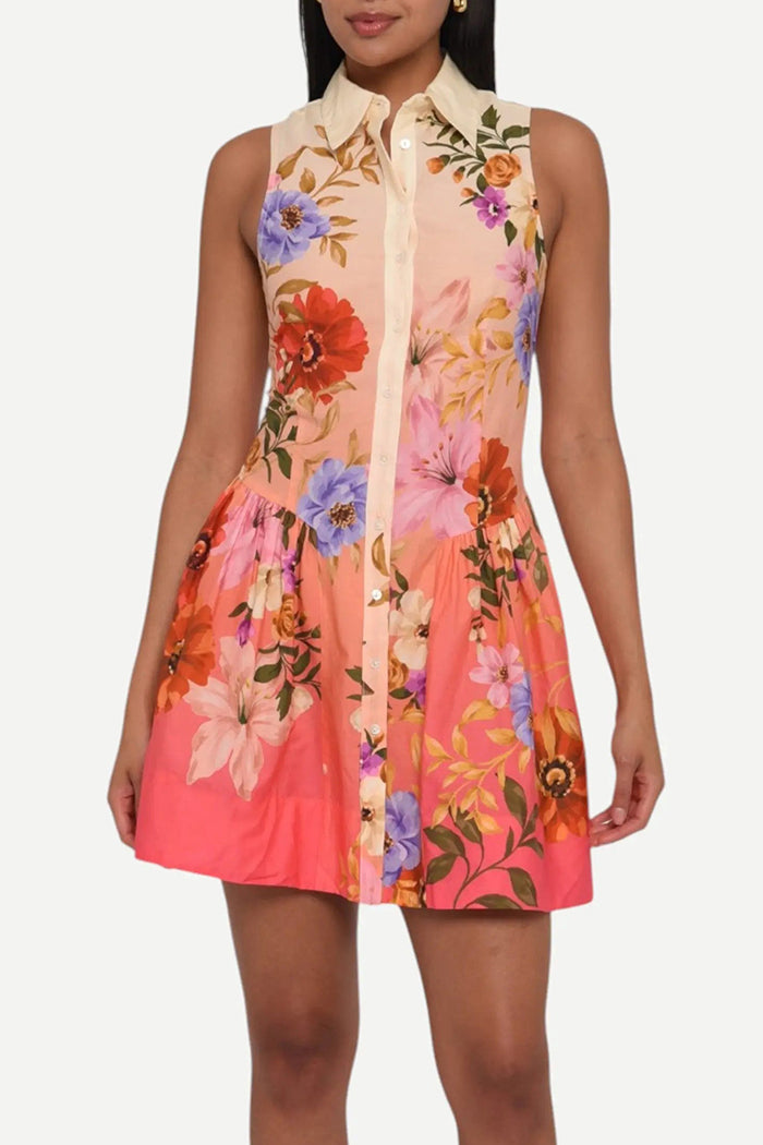 Collared Sleeveless Floral Fit Flare Dress
